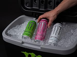 Sugar-Free Energy Drink, 16oz (15 Cans), Zero Calorie